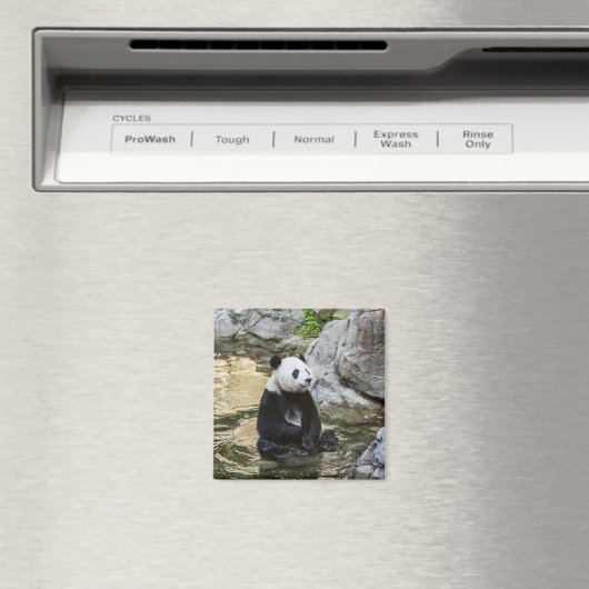 Aimant Panda géant (In Situ (Lave-vaisselle))
