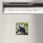 Aimant Panda géant assis sur une pierre (In Situ (Lave-vaisselle))
