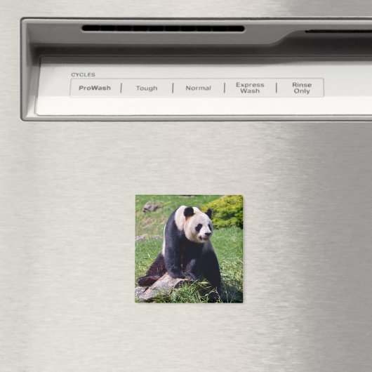 Aimant Panda géant assis sur une pierre (In Situ (Lave-vaisselle))