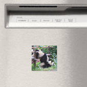 Aimant Panda géant, Chine (Aimant frigo) (In Situ (Lave-vaisselle))