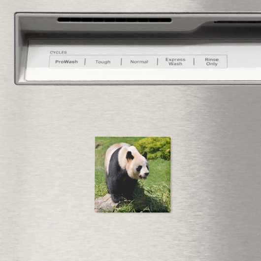 Aimant Panda géant debout sur une pierre (In Situ (Lave-vaisselle))