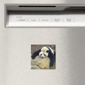 Aimant Panda géant endormi claqué sur un rocher (In Situ (Lave-vaisselle))