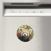 Aimant panda-rouge-004 (In Situ (Lave-vaisselle))