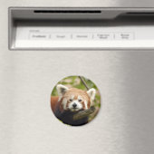 Aimant panda-rouge-005 (In Situ (Lave-vaisselle))