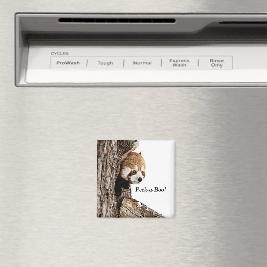 Aimant Panda rouge jouant Peek-a-Boo ! (In Situ (Lave-vaisselle))