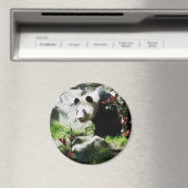 Aimant Panda Smile (In Situ (Lave-vaisselle))