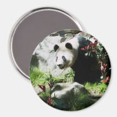 Aimant Panda Smile (Recto/Verso)
