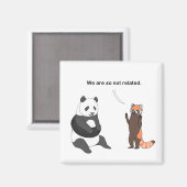 Aimant Pandas : Donc pas d'aimant lié (Recto/Verso)