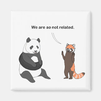 Aimant Pandas : Donc pas d'aimant lié
