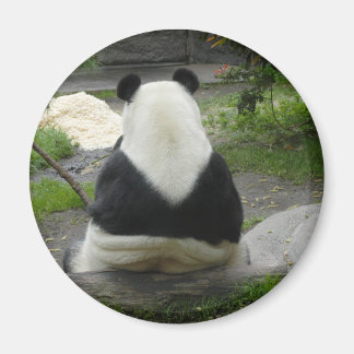 Aimant PandaSD002