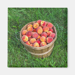 Aimant Panier Bushel de pêches fraîches