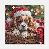 Aimant Panier Confortable pour Cavalier King Charles Span (Devant)