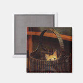 Aimant Panier Coque (Recto/Verso)