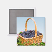 Aimant Panier de bleuets (Recto/Verso)