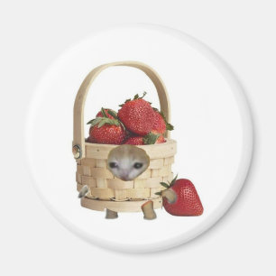 Aimant Panier de fraises chat