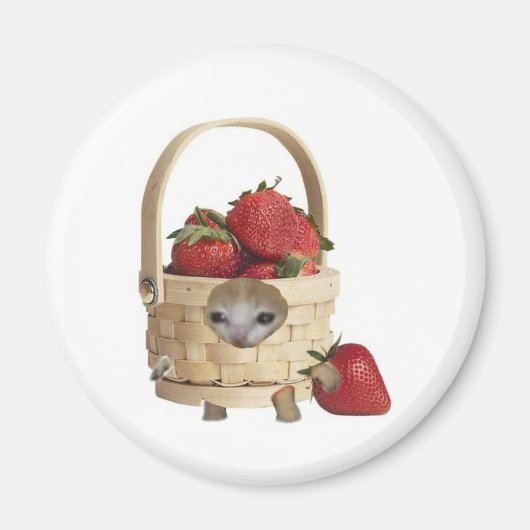 Aimant Panier de fraises chat  (Devant)