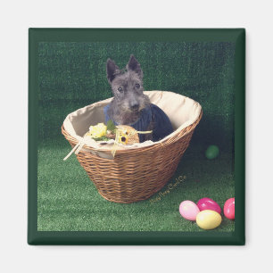 Aimant Panier de Pâques Scottie