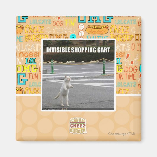 AIMANT PANIER INVISIBLE (Devant)