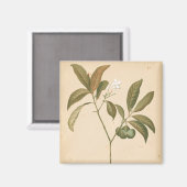 Aimant Panneau Décor Cobalt I (Recto/Verso)