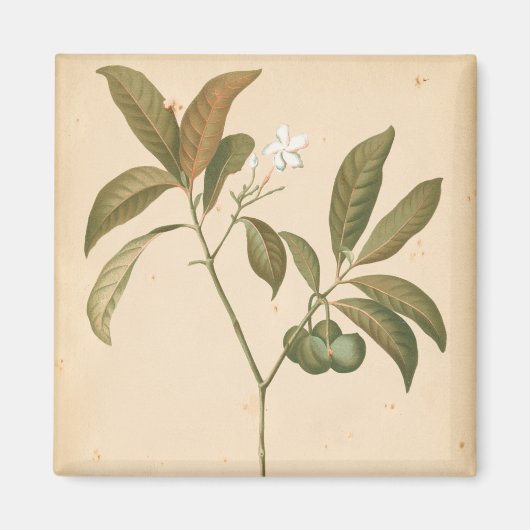 Aimant Panneau Décor Cobalt I (Devant)