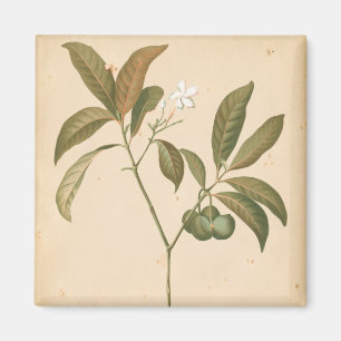 Aimant Panneau I de Deco de cobalt