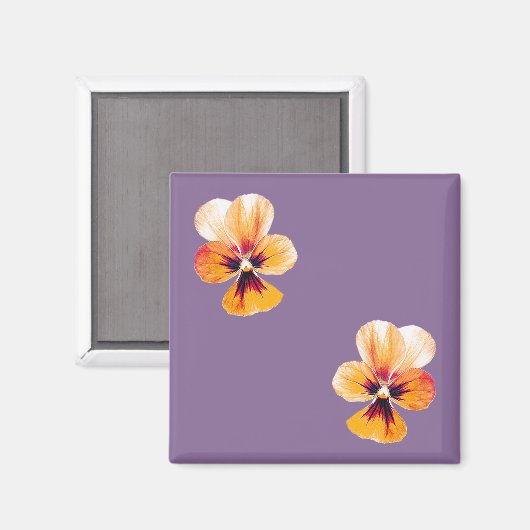 Aimant panneaux orange (Recto/Verso)