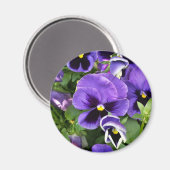 Aimant panneaux violets (Recto/Verso)