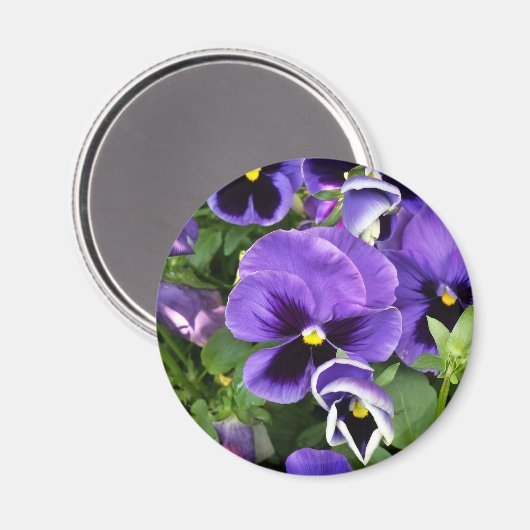 Aimant panneaux violets (Recto/Verso)