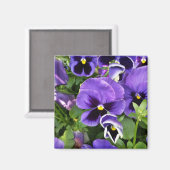 Aimant panneaux violets (Recto/Verso)