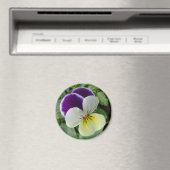 Aimant Pansement pourpre (In Situ (Lave-vaisselle))