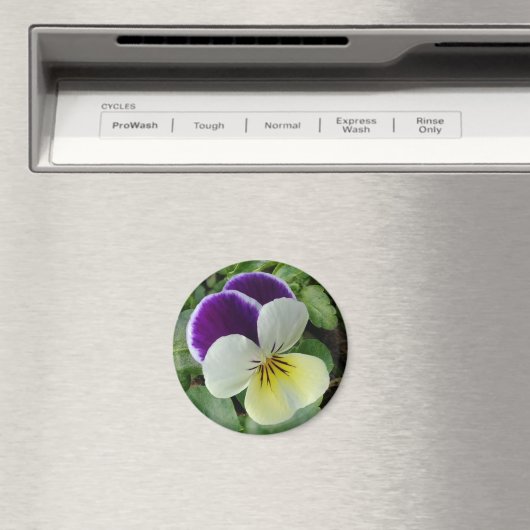 Aimant Pansement pourpre (In Situ (Lave-vaisselle))