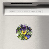 AIMANT PANSIES ! (In Situ (Lave-vaisselle))