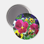 Aimant Pansies colorées (Recto/Verso)