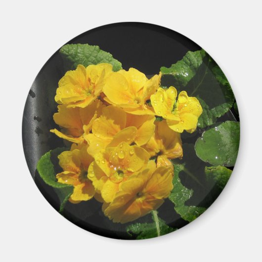 Aimant Pansies jaunes (Devant)