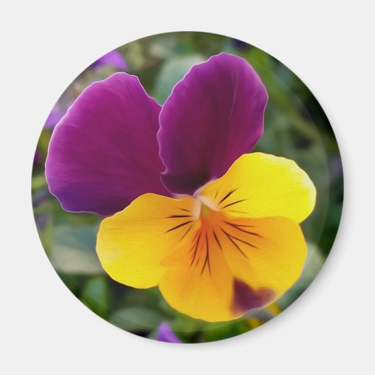 Aimant Pansies lumineuses (Devant)