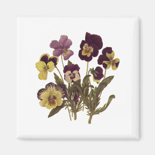 Aimant Pansies vintages en Fleur, Fleurs de Jardin Floral
