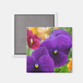 Aimant : Pansies violettes (Recto/Verso)