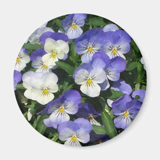 Aimant Pansies violettes Jardin Floral (Devant)