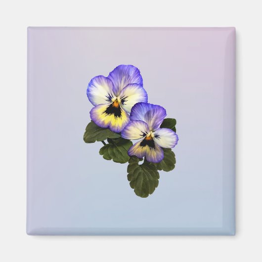 Aimant Pansy duo (Devant)