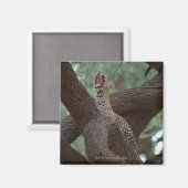 Aimant Panther (Recto/Verso)