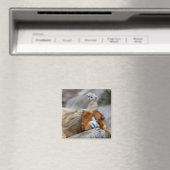Aimant Papa singe à nez doré avec bébé (In Situ (Lave-vaisselle))