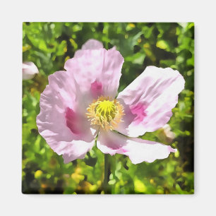 Aimant Papaver Somniferum Pink Poppy Art