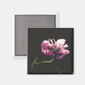 Aimant Papaver Sugarplum (Recto/Verso)