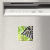 Aimant Paperkite papillon (In Situ (Lave-vaisselle))