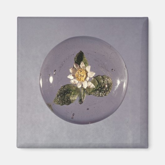 Aimant Paperweight, atelier Pantin, c.1850 (Devant)