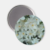 Aimant Paperwhite Narcissus Fleurs blanches délicates (Recto/Verso)