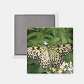 Aimant Papier à papillon (Recto/Verso)