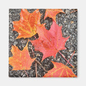 Aimant Papier collant feuille d'automne (Devant)