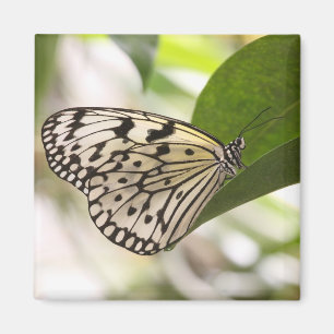 Aimant Papier papillon