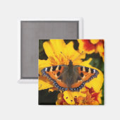 Aimant Papillon (Recto/Verso)